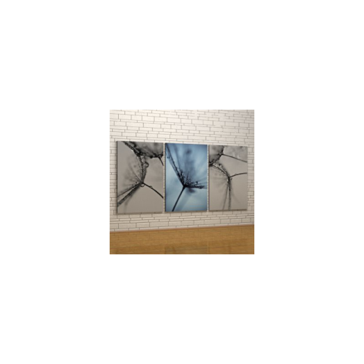 VÁSZONKÉP KOMPLEX 155X75CM          PITYPANG TRIUMVIRÁTUS