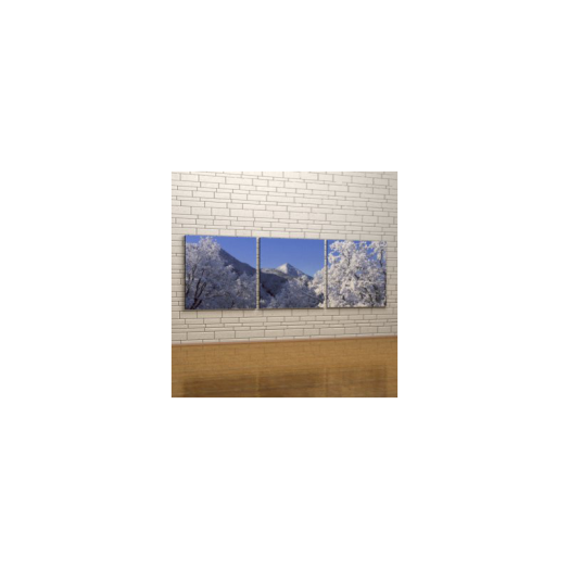 VÁSZONKÉP KOMPLEX 155X50CM          HÓLEPTE FÁK