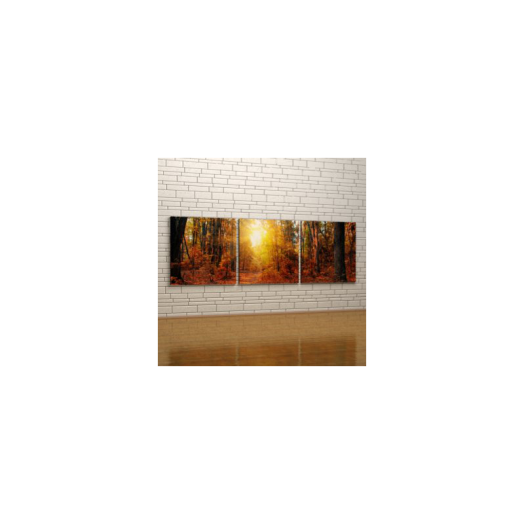 VÁSZONKÉP KOMPLEX 155X50CM          ŐSZI ERDŐ
