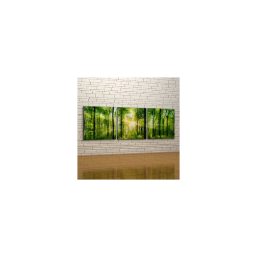 VÁSZONKÉP KOMPLEX 155X50CM ZÖLDERDŐBEN