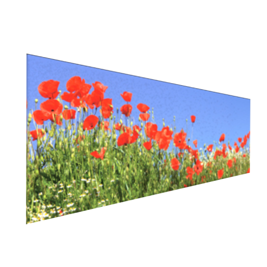 VÁSZONKÉP PANORÁMA 120X40CM TAVASZI MEZŐ