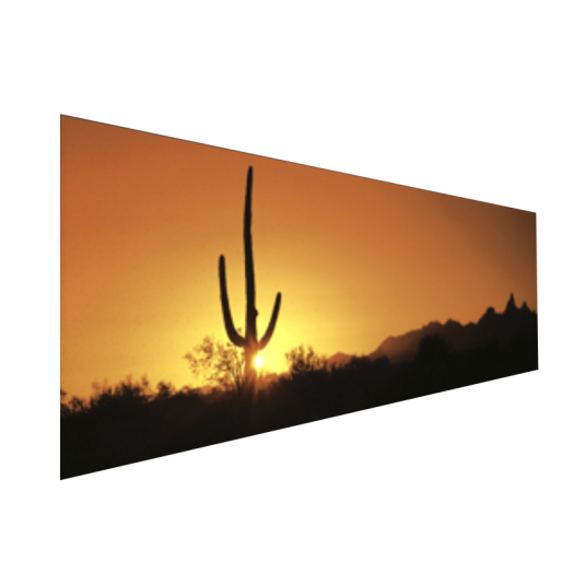 VÁSZONKÉP PANORÁMA 90X30CM SAGUARO KAKTUSZ