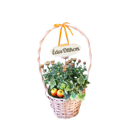 NÖVÉNYÜLTETÉS ŐSZI ÉDES OTTHON KOSÁRBAN 19*45 CM *ŐSZ*