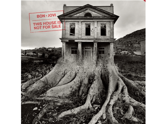 This House Is Not for Sale (Vinyl LP (nagylemez))