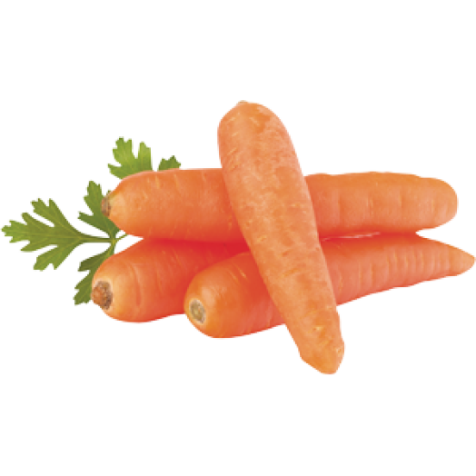 Sárgarépa