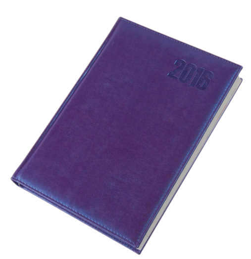 Agenda A/5 napi Iguana 5321