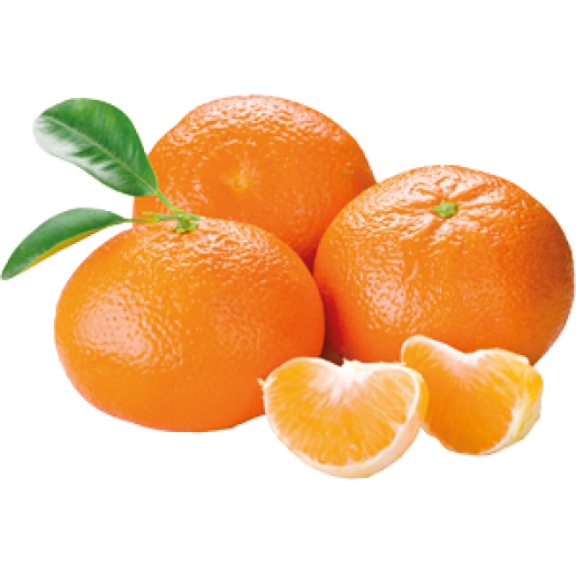 Klementin