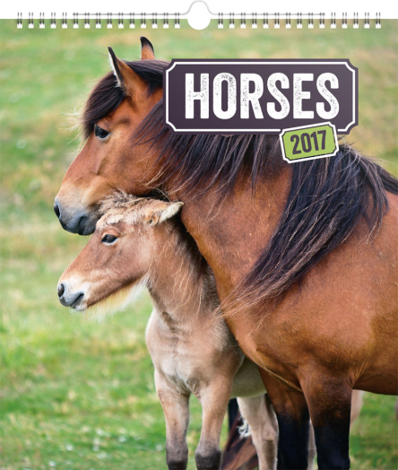 Falinaptár Horses 6097