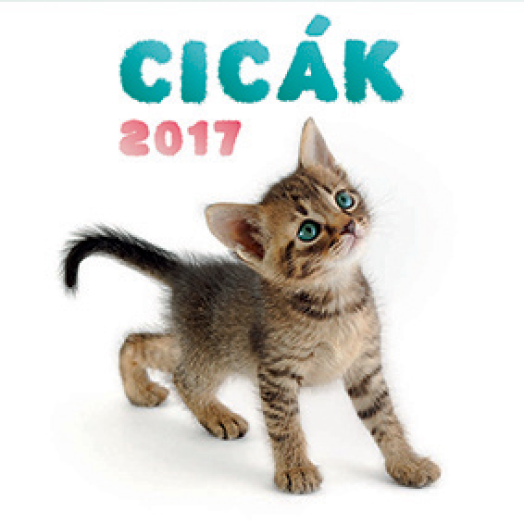Falinaptár Kittens 6097