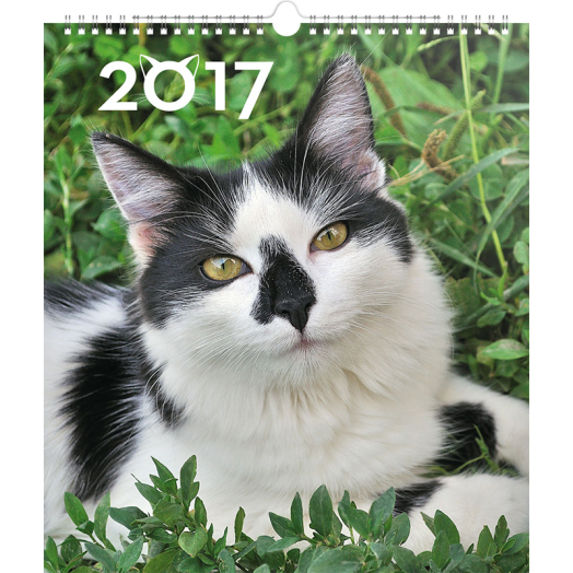 Falinaptár Cats 6087