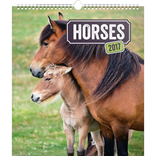 Falinaptár Horses 6087