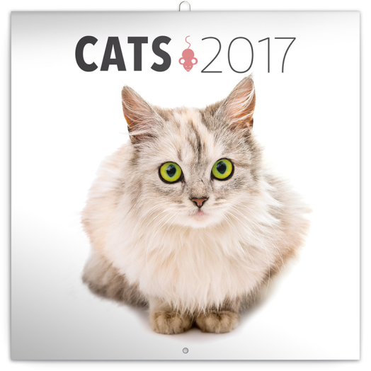 Falinaptár Cat 6097