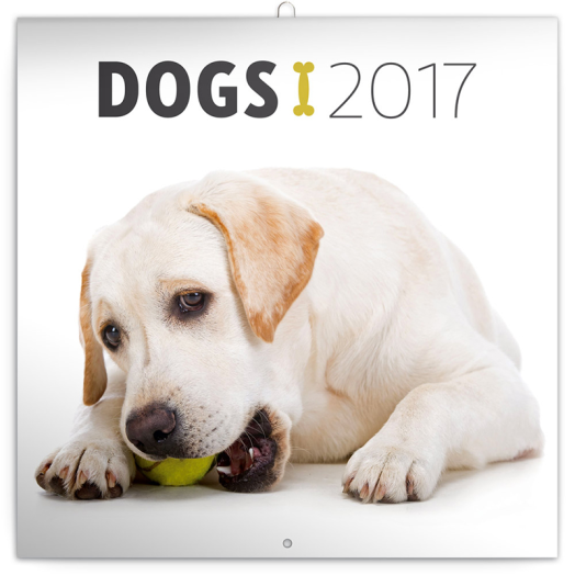 Falinaptár Dogs 6097