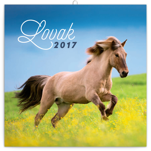 Falinaptár Horses 6097