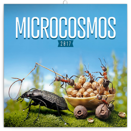 Falinaptár Microcosmos 6097