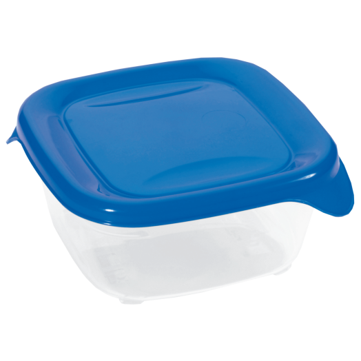 FRESH&amp;GO ÉTELTARTÓ DOBOZ 0,25L      NÉGYSZÖGLETES ÁTLÁTSZÓ/SÖTÉTKÉK
