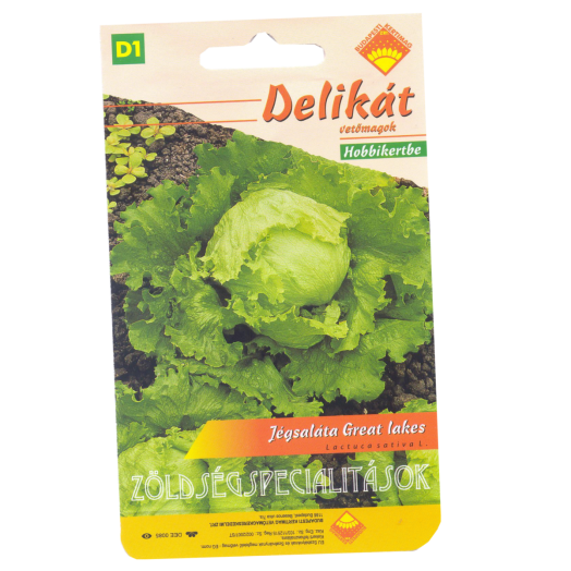 JÉGSALÁTA GREAT LAKES DELIKÁT VETŐMAG