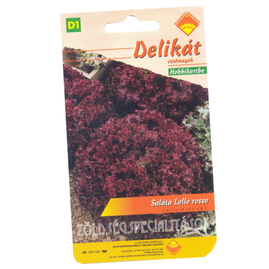 SALÁTA LOLLO ROSSO                  DELIKÁT VETŐMAG