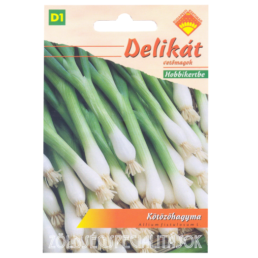 KÖTÖZŐHAGYMA                        DELIKÁT VETŐMAG