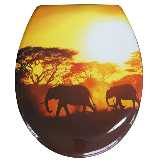 WC-ÜLŐKE AFRICA