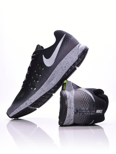Air Zoom Pegasus 33 Shield