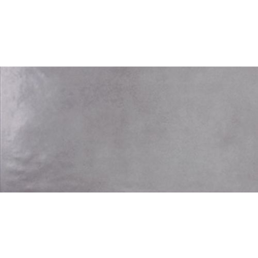 BETON FALI CSEMPE GRIS, 25X50 CM