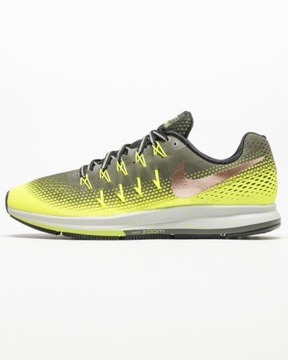 Air Zoom Pegasus 33 Shield