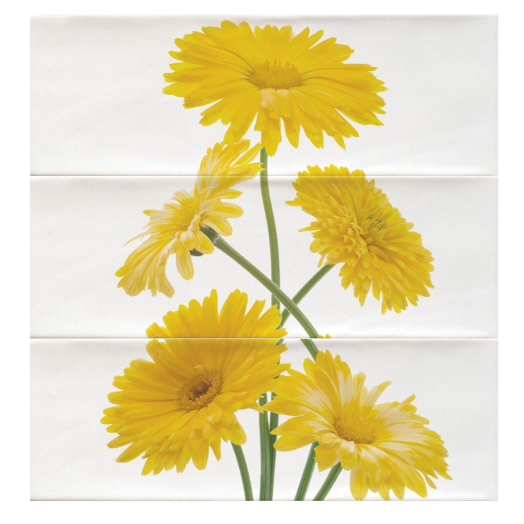 ROYAL DEKORCSEMPE MARGARITA LIMON 30X30,5 CM, 3 RÉSZES SZETT