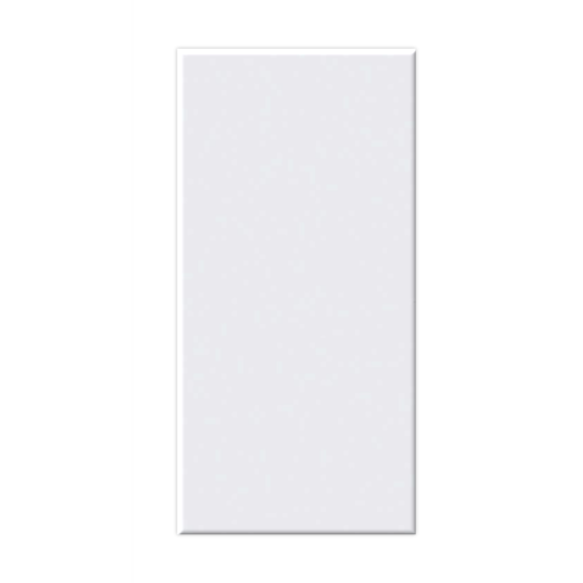 RESIDENCE FALI CSEMPE BLANCO, MATT 30X60X1CM 1,08M2/CSOMAG *KAP*
