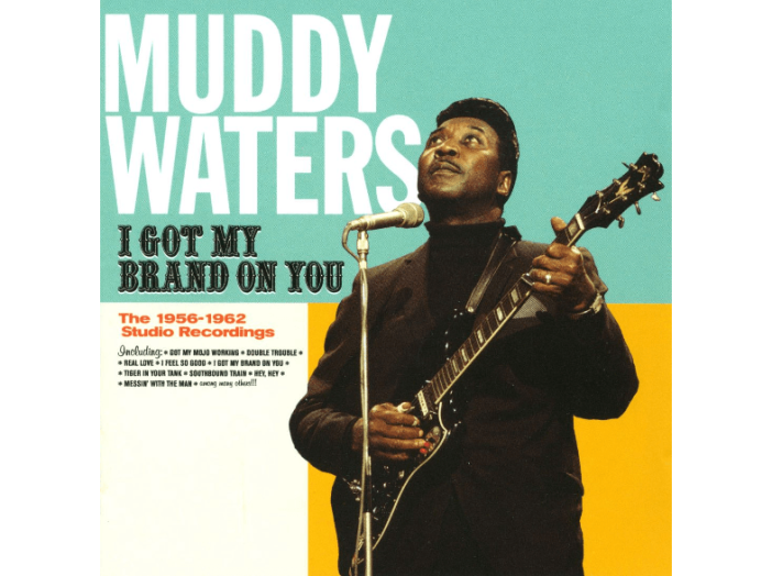 I Got My Brand on You (Vinyl LP (nagylemez))