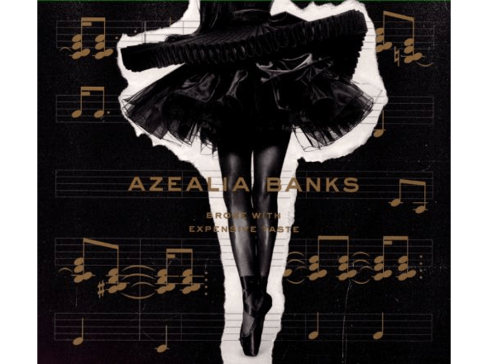 Broke with Expensive Taste (CD)