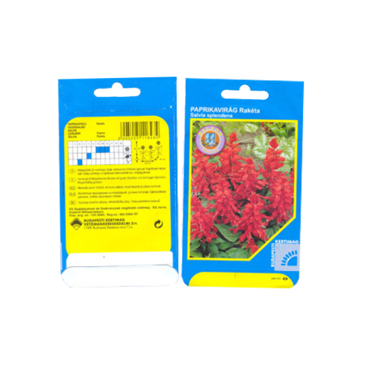 SALVIA SPLENDENS BALKON