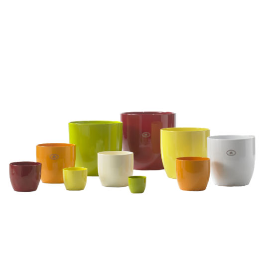 BASEL FULL COLOR 14 CM F.CITROM