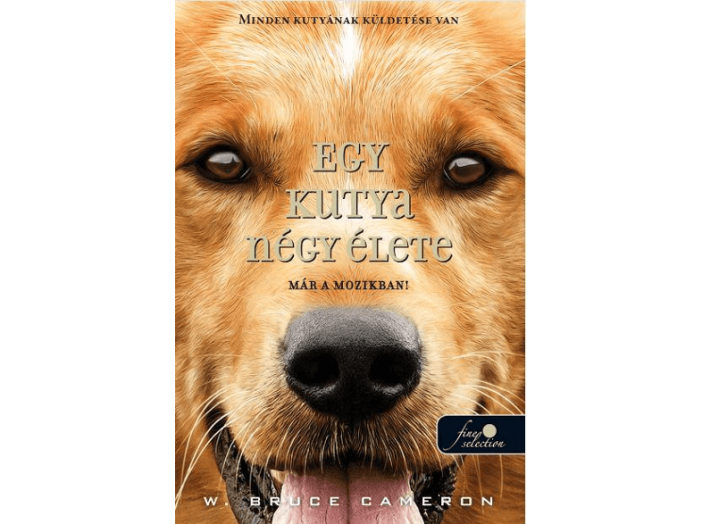 Egy kutya négy élete - filmes borítóval