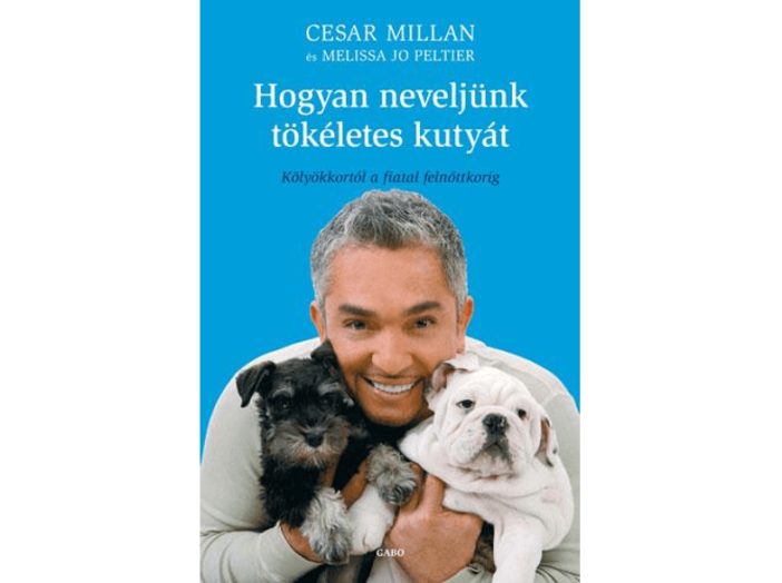 Hogyan neveljünk tökéletes kutyát - Kölyökkortól a fiatal felnőttkorig