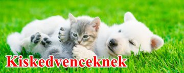 Kutya és macska felszerelés érkezett