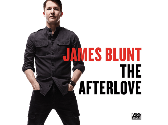 The Afterlove (Vinyl LP (nagylemez))