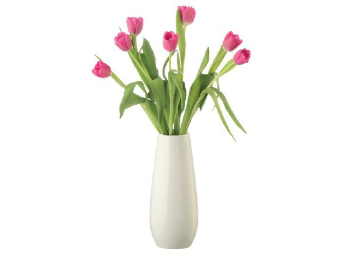 Tulipán
