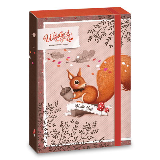 Woodland Magic füzetbox A/4