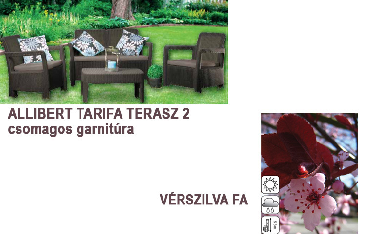 terasz-bútor-szilvafa