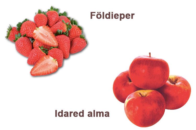 eper-alma-akció-auchan