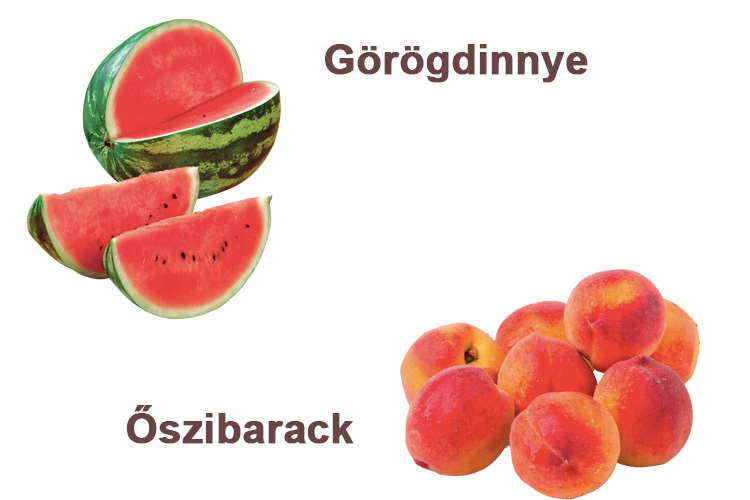 görögdinnye-idared-alma-akció-auchan