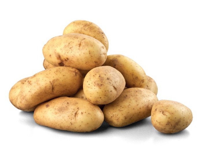 Újburgonya