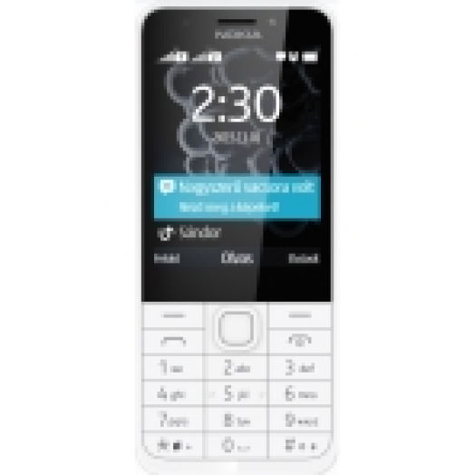 NOKIA 230 DS, SILVER