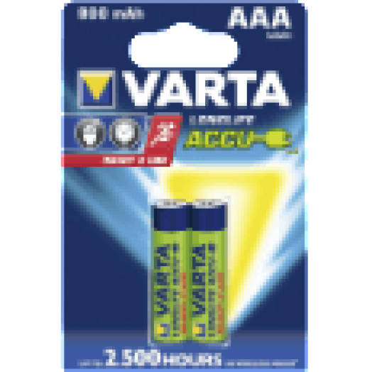Longlife Ready2Use mikro akku 800mAh (2xAAA)