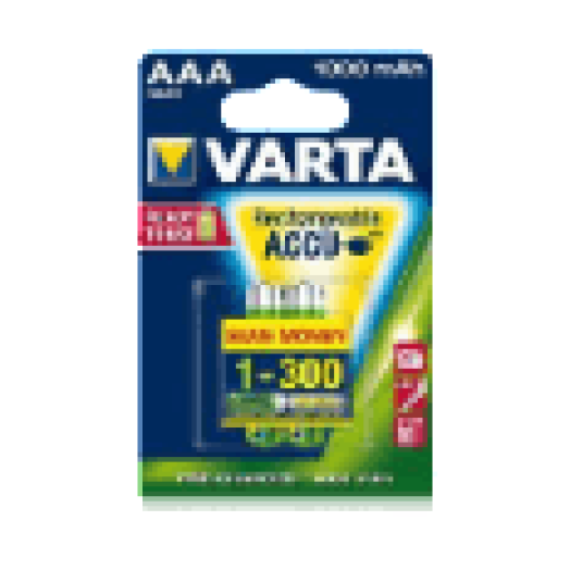 Professional Ready2Use mikro akku 1000mAh (2xAAA)