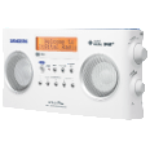 DPR-25W DAB+/FM