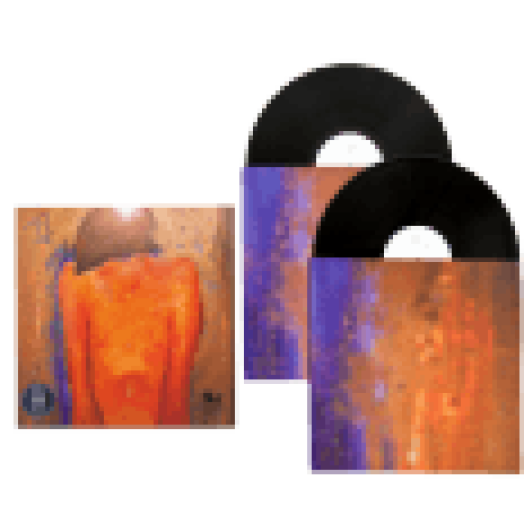 13 (Special Limited Edition) LP