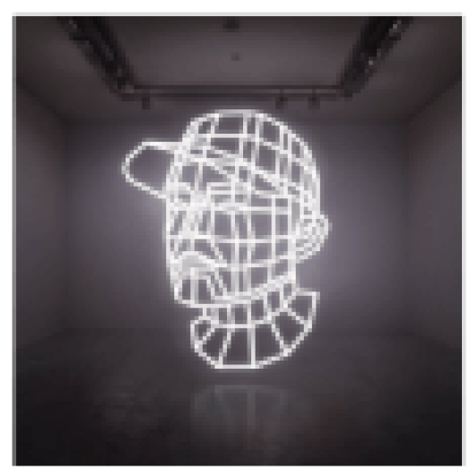 Reconstructed: The Best of DJ Shadow (CD)