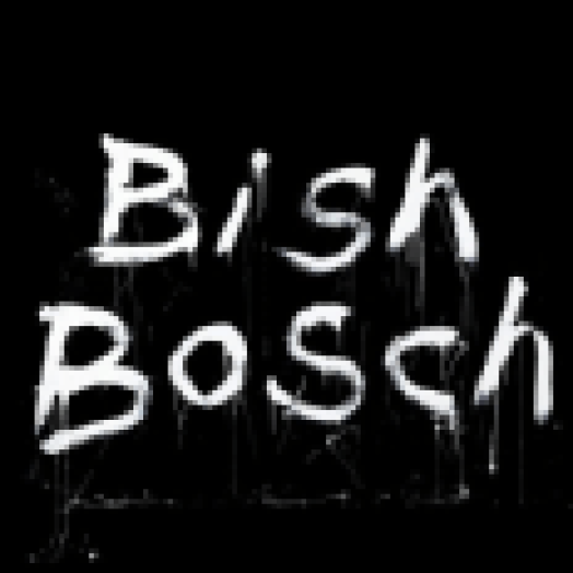 Bish Bosch CD